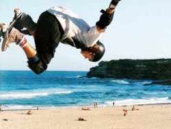 13 Fly like an Eagle 800