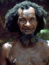 17 Wild and Wooley  800