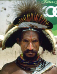 60 Serious Looking Huli Wigman 800