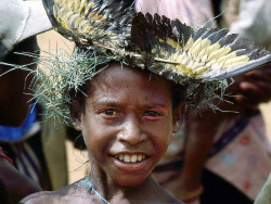 9 Young Bird Hunter in PNG 800