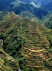 16 4 000 year old rice terraces on Luzon Island of the Philippines 800