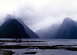 29 The entrance to Milford Sound on the South Island of New Zealand 800