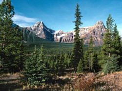 40 Mountain peaks in Albertas Banff National Park in Canada 800