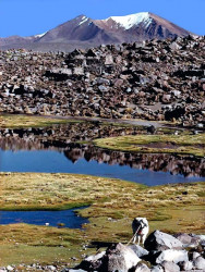 58 Snow capped volcano in Bolivia 800