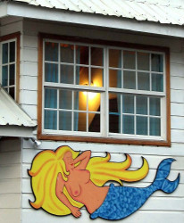 50 Hotel El Limbo on the Sea in Bocas del Toro  Panama 800