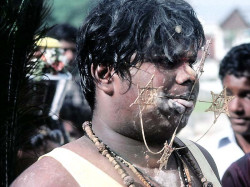 21 Thaipusam Tongue Lashing 800