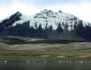 34 Volcanic mountain with flamingos in front in Lauca National Park in Chile 800