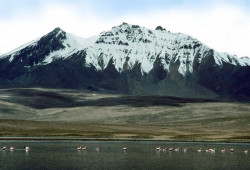 34 Volcanic mountain with flamingos in front in Lauca National Park in Chile 800