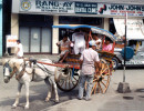 42  Horse carriage in the Philippines 800
