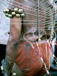 6 Hooked on life 800