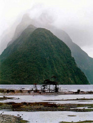 68 Entrance to Milford Sound on the South Island of New Zealand 800