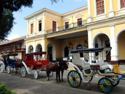Granada horse cart 800