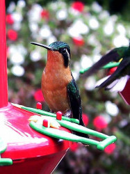 waterfall park 054 800