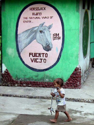11 Horseback riding sign in Puerto Viejo  Costa Rica 800