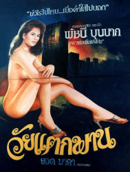 30 Sexy movie billboard in Chiang Mai  Thailand 800