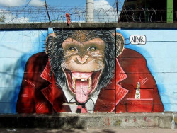 59.   Vink  Monkey Sign in Esteli  Nicaragua 800