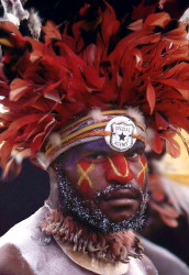 34 Special Agent in the Highlands 800