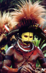 36 Huli Wigman of Papua New Guinea 800
