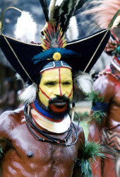 46 Huli Wigman at a Sing Sing in Tari 800