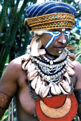 73 Have a Little Faith in Me 800