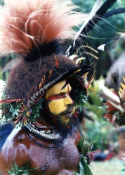 93 Painted Huli Wigman Warrior 800