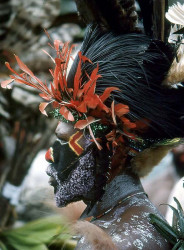 106 Young black faced warrior 800