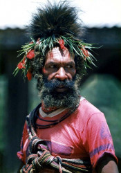 110 Central Floral Arrangemented 800