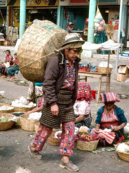 41 Heading home after a long day at the market 800