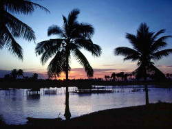 33 Typical sunset in eastern Malaysia in southeast Asia 800