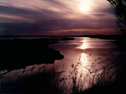 5 Sunsetting over a river in South Korea in Asia 800