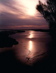 7 Sunsetting over a river in South Korea in Asia 800