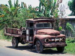 14 Well worn Ford truck in Valdivia  Chile 800