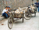 2 Duck Transport in western China 800