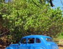 1938 plymouth 4 door sedan at trinidad s seashore 800