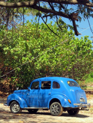 1938 plymouth 4 door sedan at trinidad s seashore 800