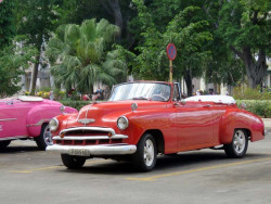 1951 chevrolet convertible in havana s streets 800
