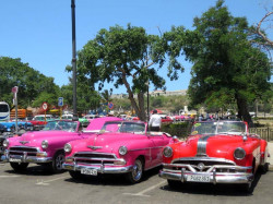 1952 chevrolets and a 1953 ponatiac 800