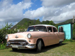1954 Oldsmobile 88 in Vinales 800