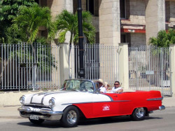 1955 Oldsmobile in Havana 800