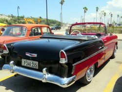 1955 chevreolet bel air 800