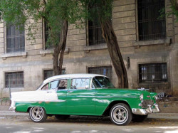 1955 chevy two ten sedan in havana 800