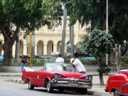 1959 dodge custom royal 800