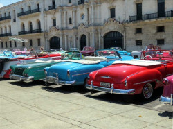 No shortage of taxis in Havana 800
