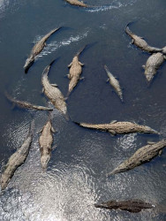 40 Not a place to test the water 800