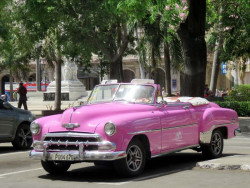 1953 chevrolet bel air convertible in havana 800