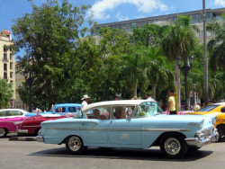 1958 chevrolet biscayne 800