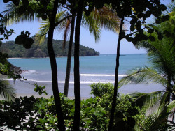 1.  one of the many manuel antonio beaches  mf 