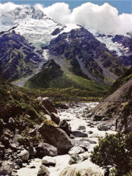 41 in the south island of new zealand 800