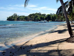 79. puerto jimenez  costa rica 800