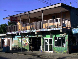 36 hotel carolina in puerto jimenez  costa rica 800